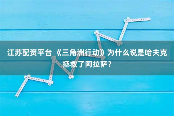 江苏配资平台 《三角洲行动》为什么说是哈夫克拯救了阿拉萨？